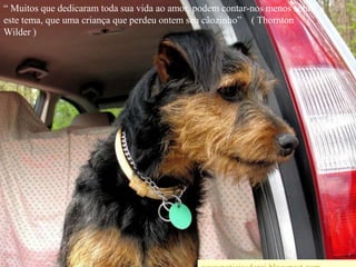 “ Muitos que dedicaram toda sua vida ao amor, podem contar-nos menos sobre este tema, que uma criança que perdeu ontem seu cãozinho”    ( Thornton Wilder )wwwnoticiasdorei.blogspost.com