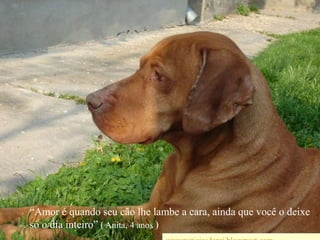 “Amor é quando seu cão lhe lambe a cara, ainda que você o deixe só o dia inteiro” ( Anita,4 anos )wwwnoticiasdorei.blogspost.com