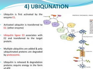 Co and post translationational modification of proteins | PPTX
