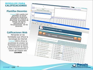 Plantillas Docentes Pensando en las facilidades que ofrece la tecnología de internet  Coanaet 1290  le ofrece la posibilidad de ampliar las facilidades para la edición y administración de logros, notas y recuperaciones a través del módulo web  COAWEB COANET  1290  MODULOS PARA   CALIFICACIONES Coanaet 1290  cuenta con plantillas en Excel altamente dinámicas pensadas en mejorar y dinamizar el proceso de edición de logros, calificaciones y recuperaciones  de los docentes  Calificaciones Web 