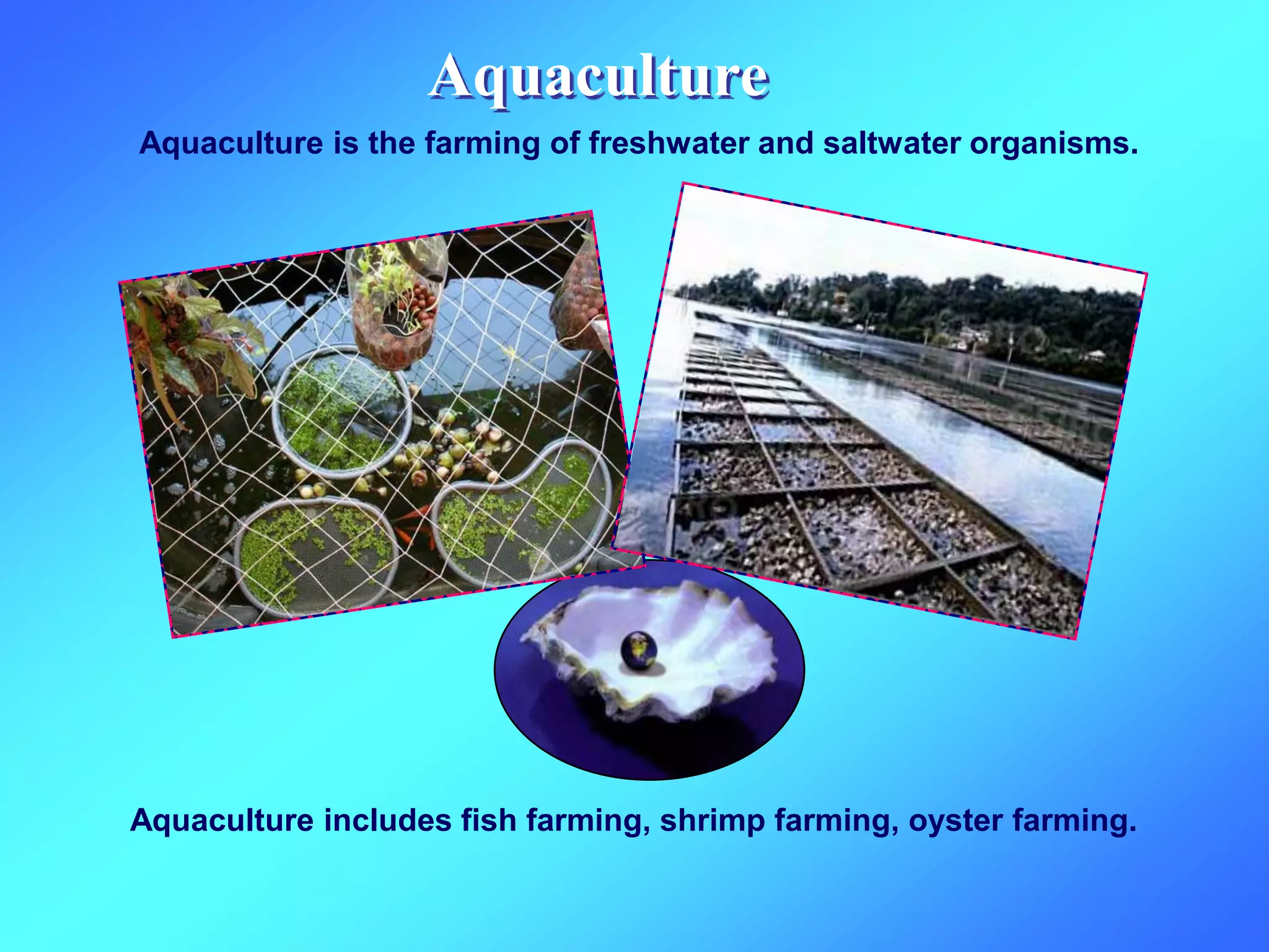 Aquaculture
Aquaculture is the farming of freshwater and saltwater organisms.
Aquaculture includes fish farming, shrimp farming, oyster farming.
 