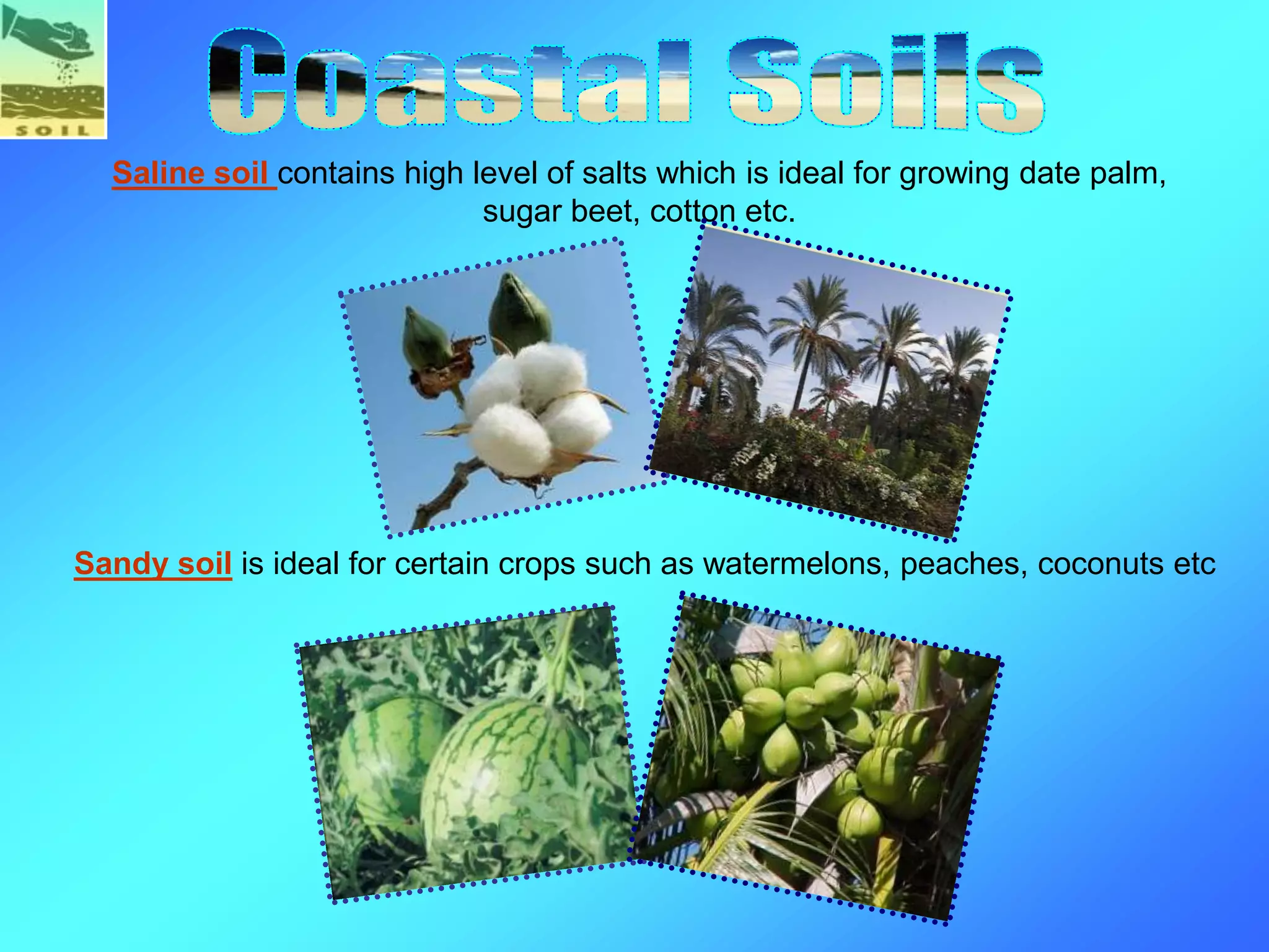 Sandy soil is ideal for certain crops such as watermelons, peaches, coconuts etc
Saline soil contains high level of salts which is ideal for growing date palm,
sugar beet, cotton etc.
 