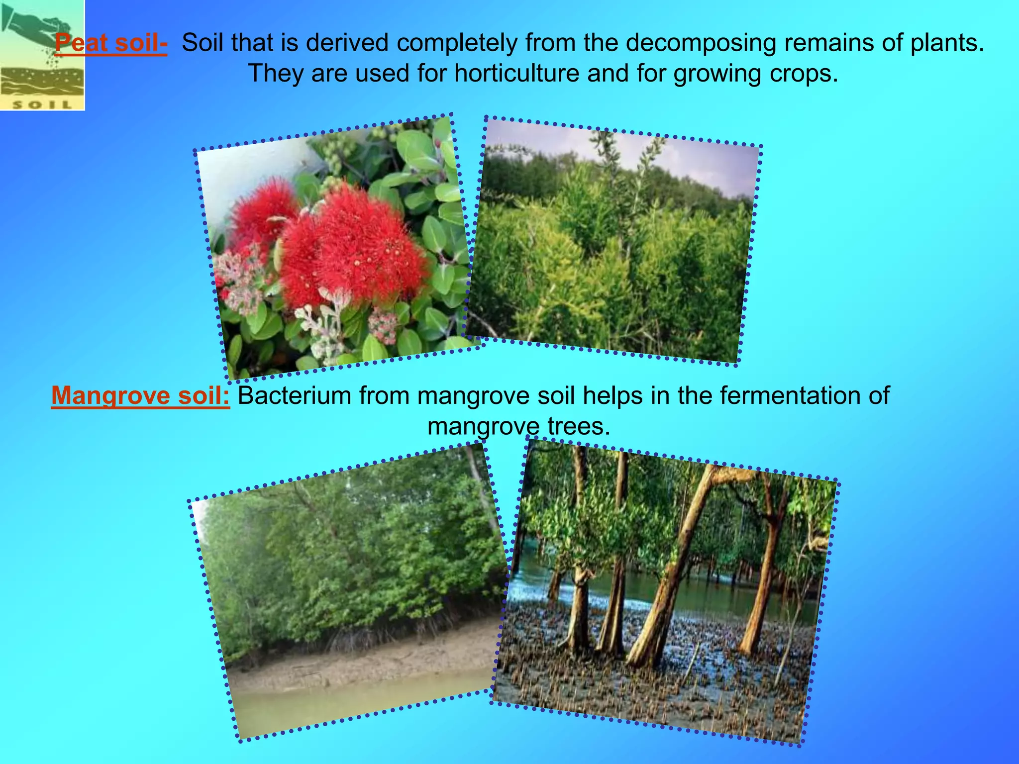 Mangrove soil: Bacterium from mangrove soil helps in the fermentation of
mangrove trees.
Peat soil- Soil that is derived completely from the decomposing remains of plants.
They are used for horticulture and for growing crops.
 