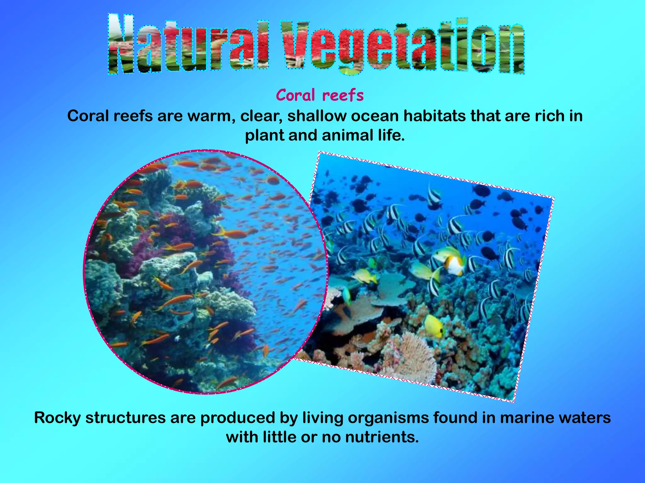 Coral reefs
Rocky structures are produced by living organisms found in marine waters
with little or no nutrients.
Coral reefs are warm, clear, shallow ocean habitats that are rich in
plant and animal life.
 