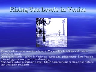 Rising Sea Levels in Venice Rising sea levels pose a serious threat to Venice's fine buildings and unique network of canals.  Once-minor floods - known in Venice as "acqua alta" (high water) - have become increasingly common, and more damaging.  Now, work is due to begin on a multi-billion dollar scheme to protect the historic city with giant floodgates.  
