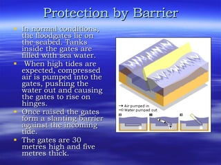 Protection by Barrier In normal conditions, the floodgates lie on the seabed. Tanks inside the gates are filled with sea water.  When high tides are expected, compressed air is pumped into the gates, pushing the water out and causing the gates to rise on hinges.  Once raised the gates form a slanting barrier against the incoming tide.  The gates are 30 metres high and five metres thick. 