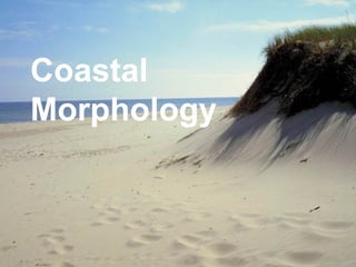 Coastal Morphology 