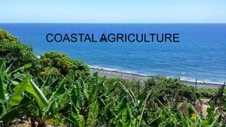 Coastal agriculture
Judith Das
MFSc 2018
Aquatic Environment Management
COASTAL AGRICULTURE
 