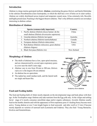 Abalone Culture Morphology Larval Rearing Settlement Pdf Photo Inspiration