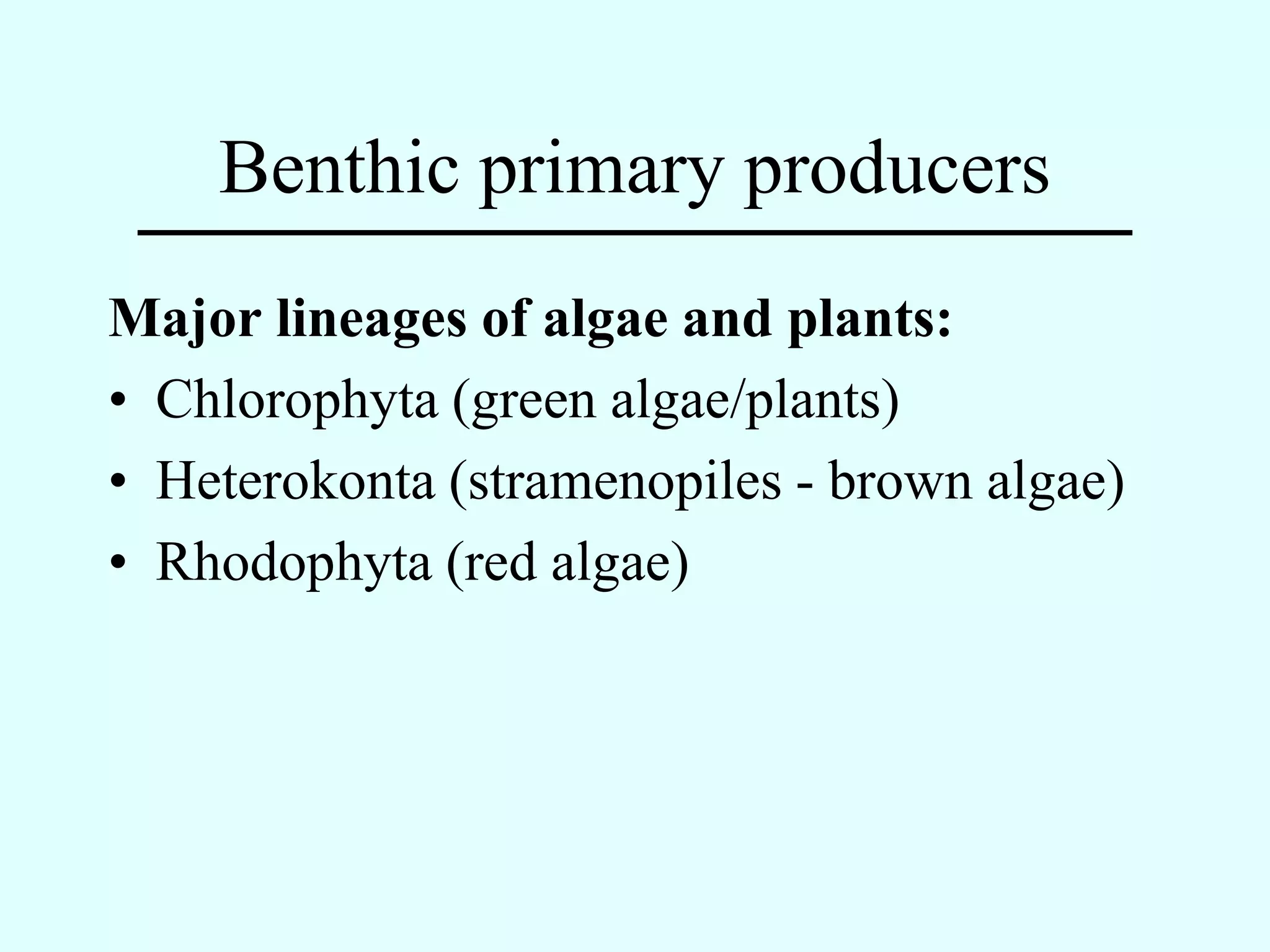 Benthic primary producers
Major lineages of algae and plants:
• Chlorophyta (green algae/plants)
• Heterokonta (stramenopiles - brown algae)
• Rhodophyta (red algae)
 