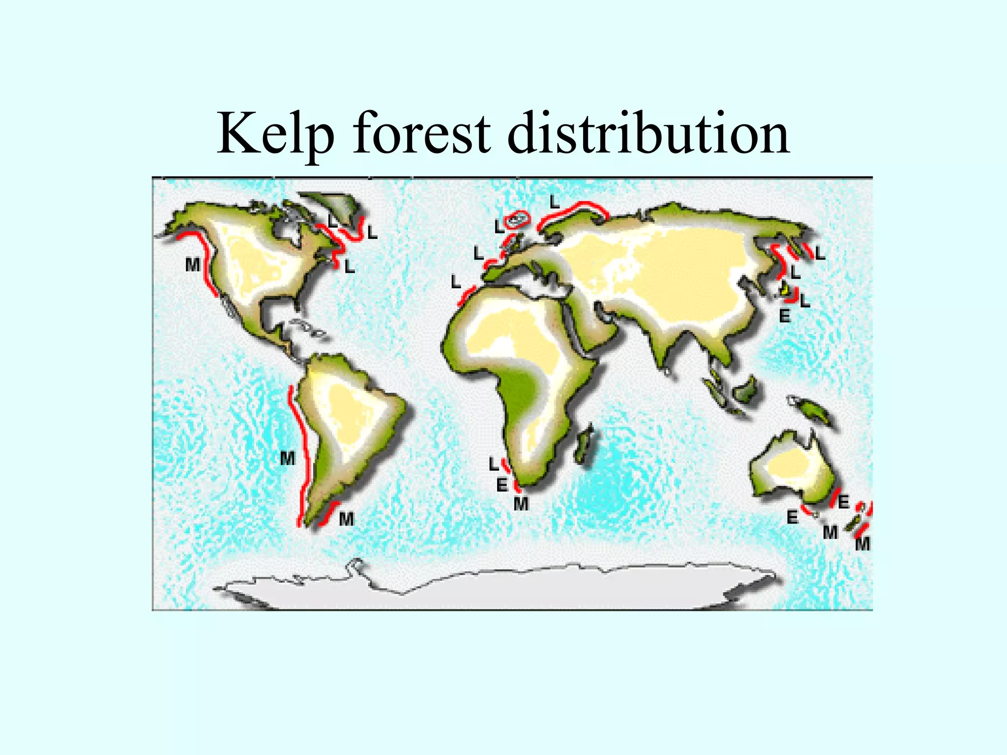 Kelp forest distribution
 