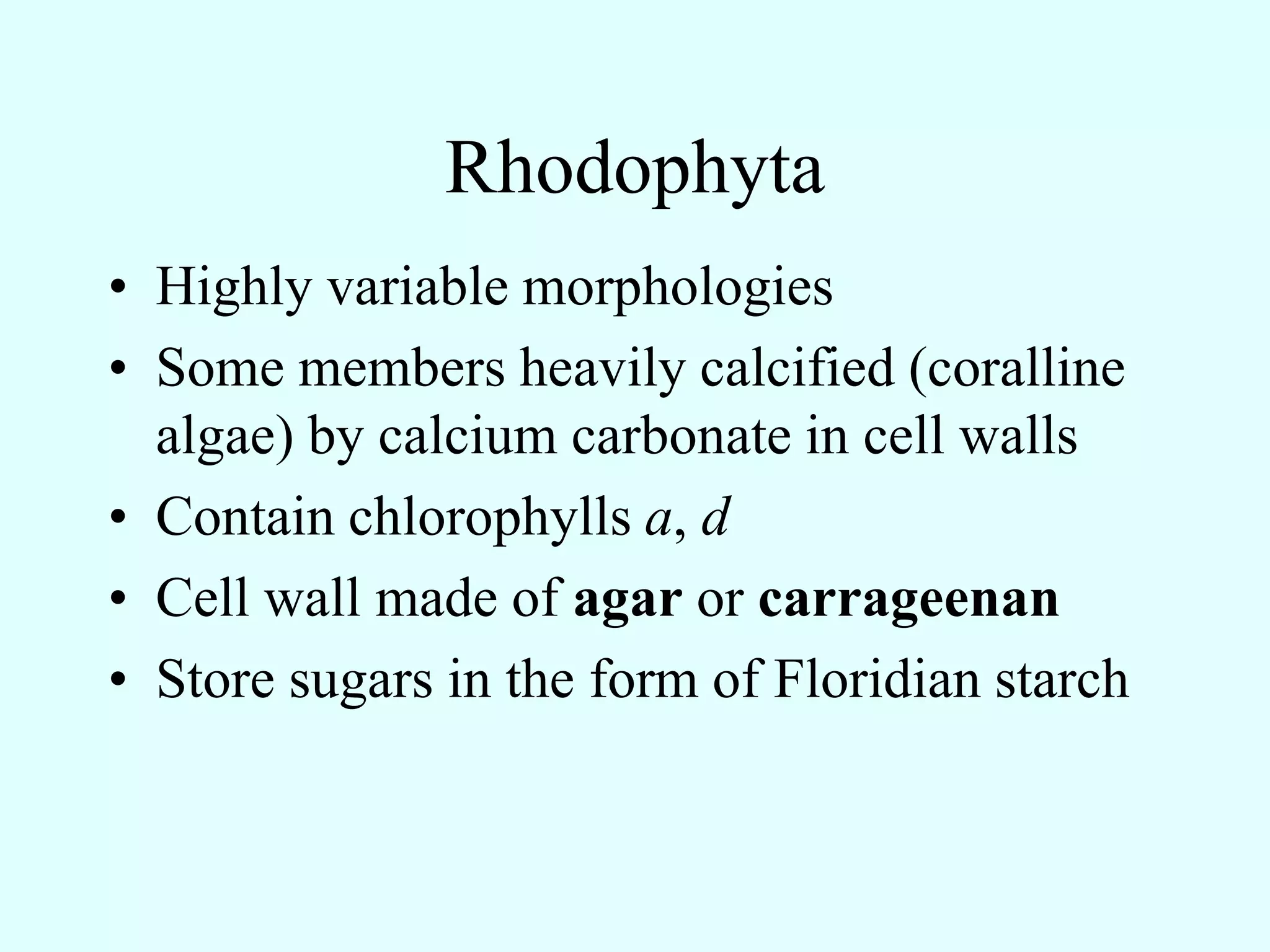 Rhodophyta
• Highly variable morphologies
• Some members heavily calcified (coralline
  algae) by calcium carbonate in cell walls
• Contain chlorophylls a, d
• Cell wall made of agar or carrageenan
• Store sugars in the form of Floridian starch
 
