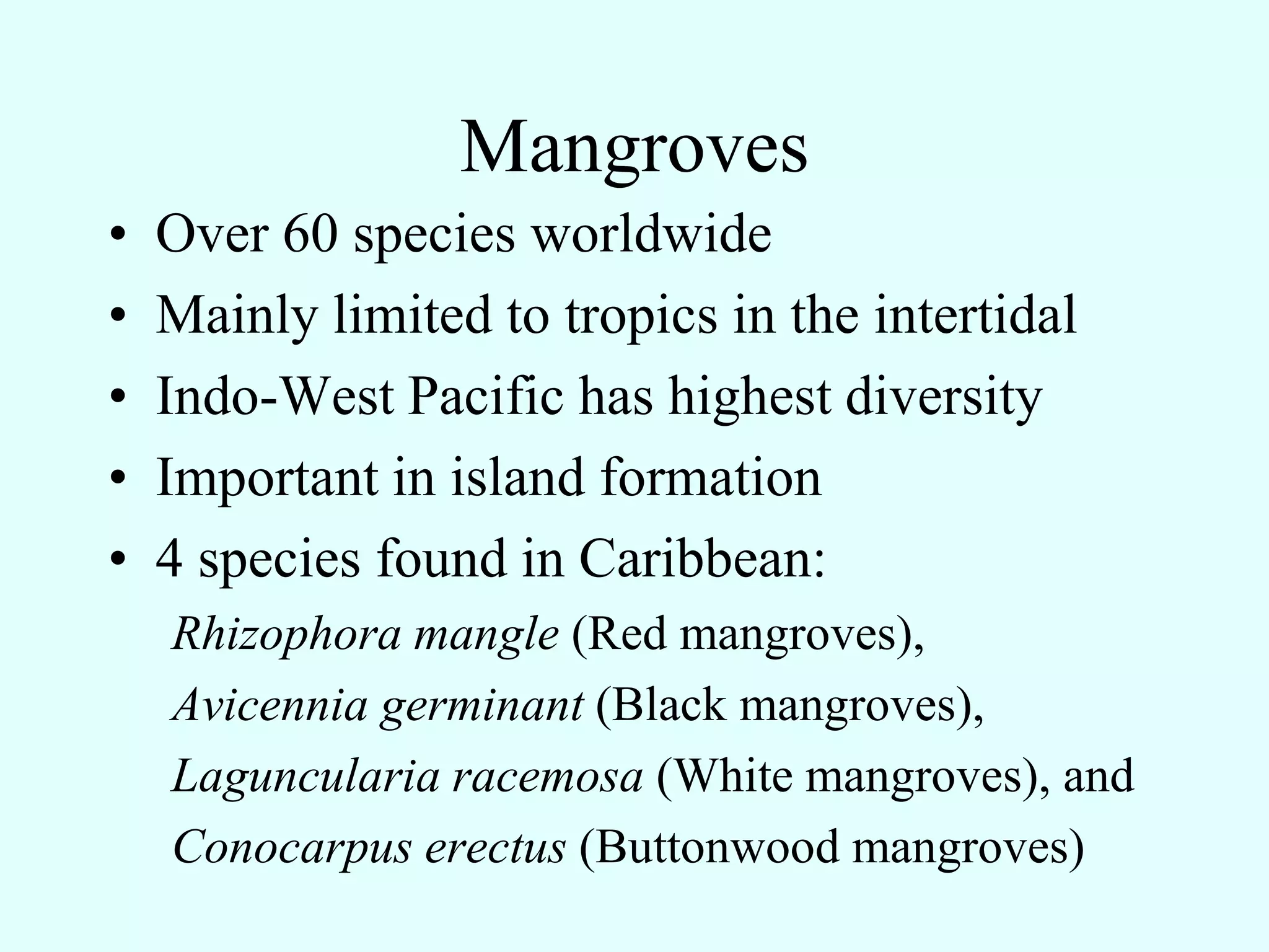 Mangroves
•   Over 60 species worldwide
•   Mainly limited to tropics in the intertidal
•   Indo-West Pacific has highest diversity
•   Important in island formation
•   4 species found in Caribbean:
    Rhizophora mangle (Red mangroves),
    Avicennia germinant (Black mangroves),
    Laguncularia racemosa (White mangroves), and
    Conocarpus erectus (Buttonwood mangroves)
 