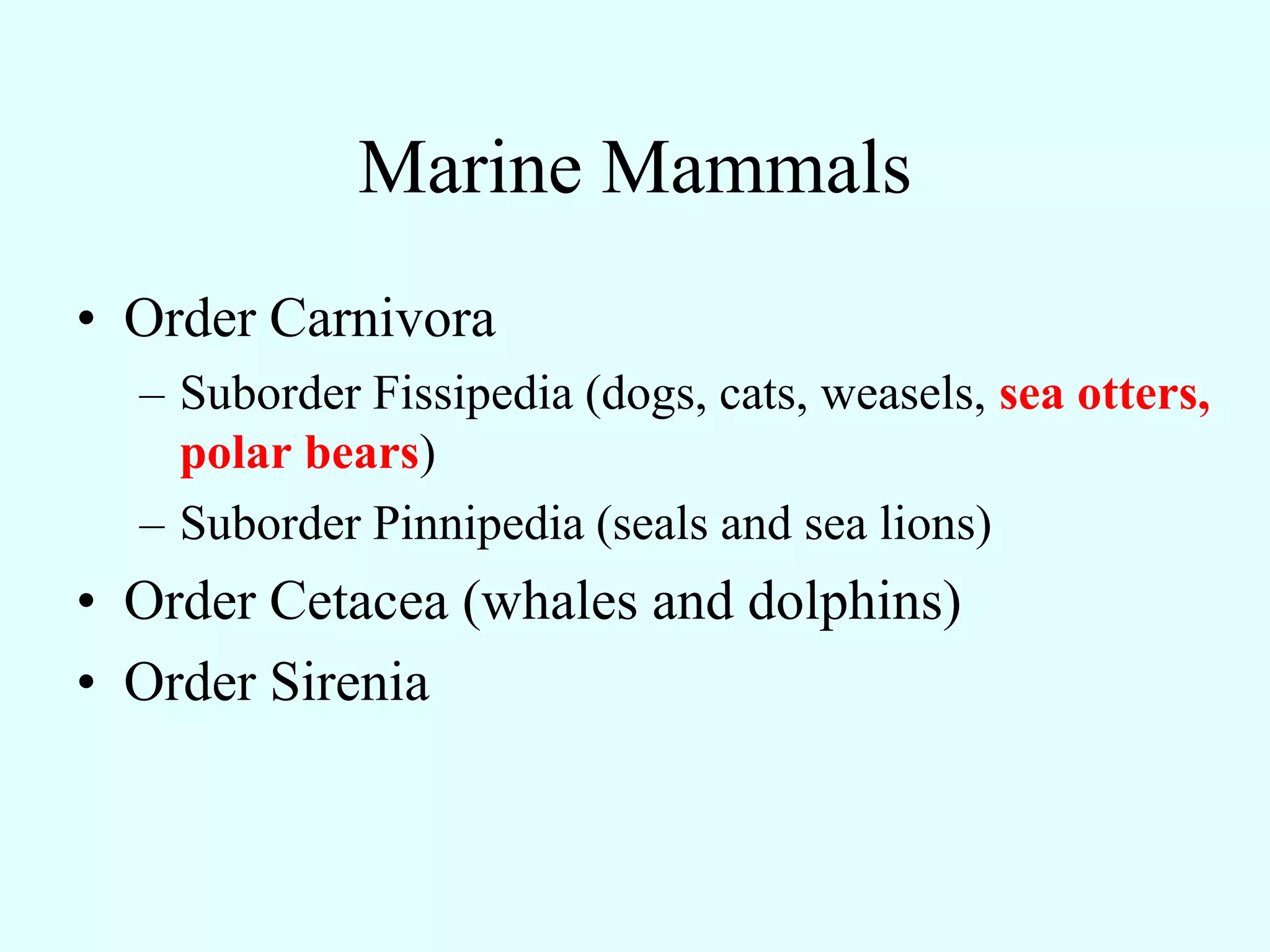 Marine Mammals
• Order Carnivora
  – Suborder Fissipedia (dogs, cats, weasels, sea otters,
    polar bears)
  – Suborder Pinnipedia (seals and sea lions)
• Order Cetacea (whales and dolphins)
• Order Sirenia
 