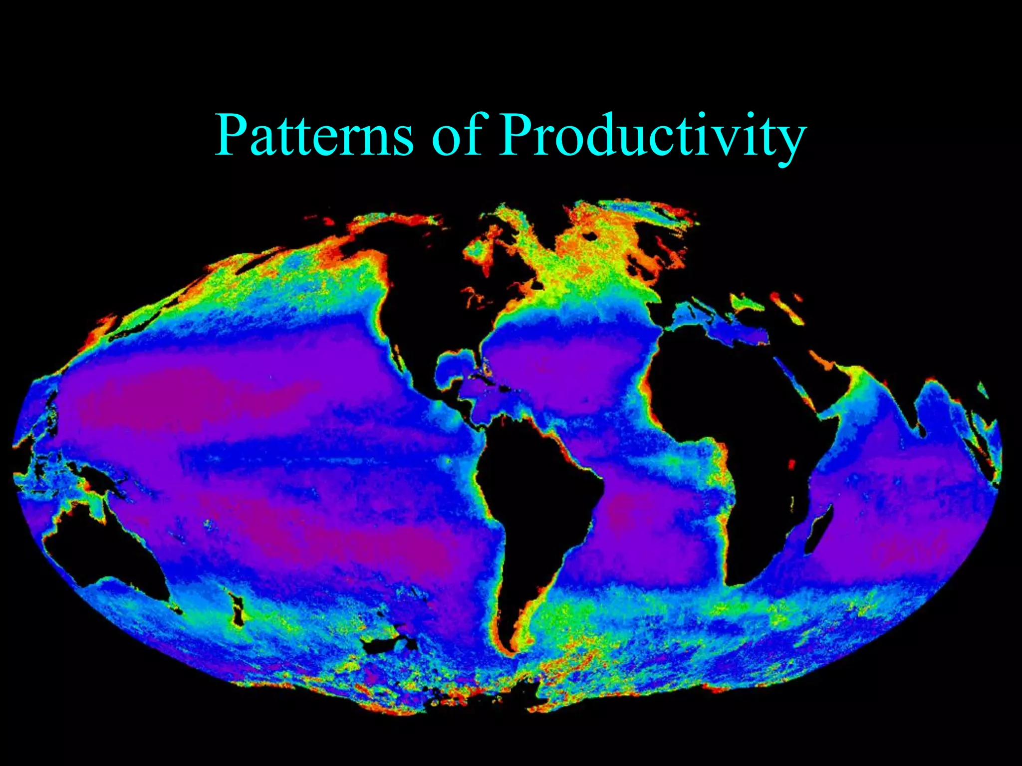 Patterns of Productivity
 