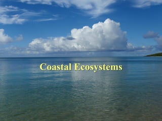 Coastal Ecosystems
 