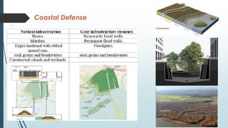 Coastal cities resilience for climate change | PPT
