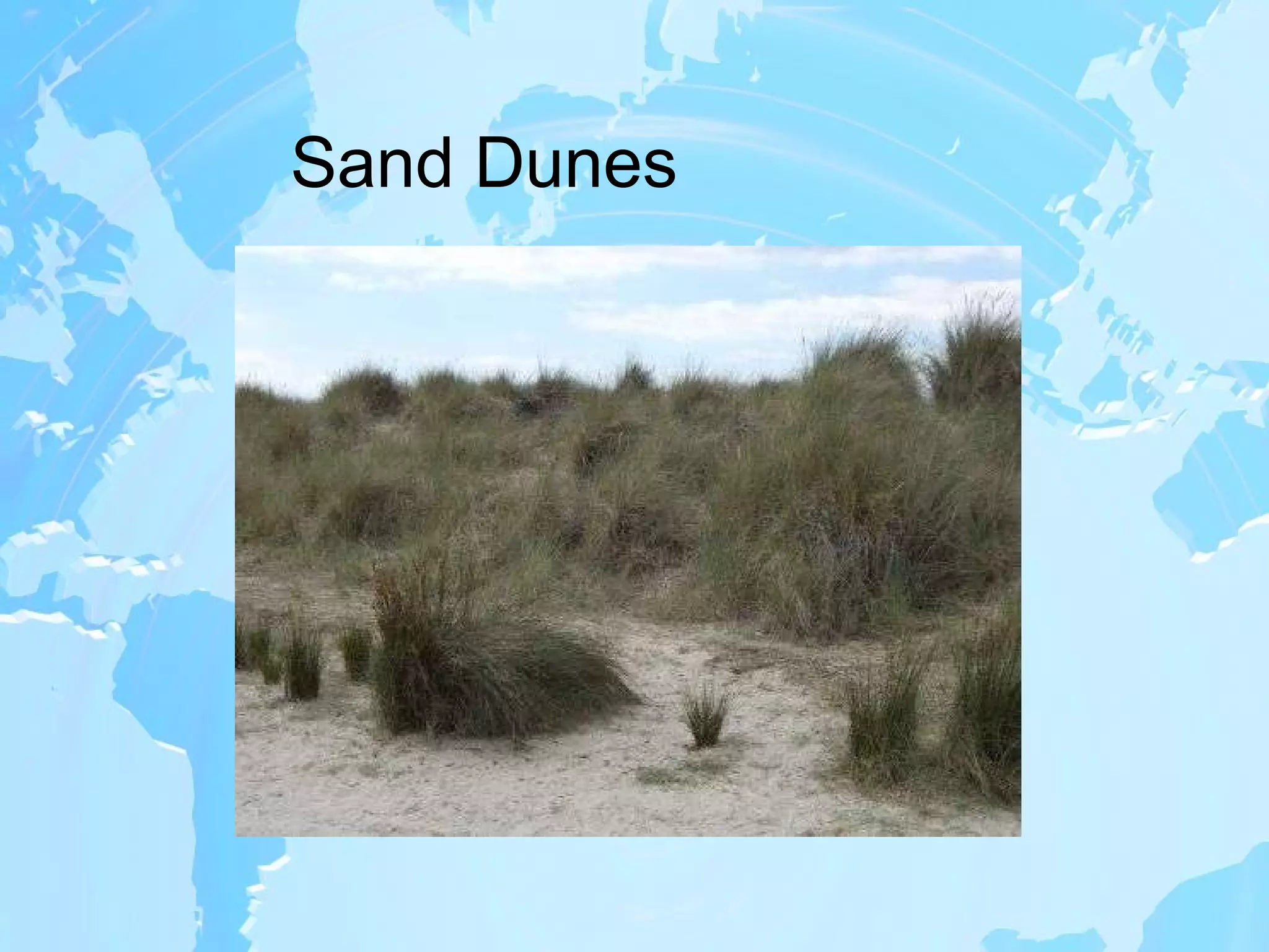 Sand Dunes 