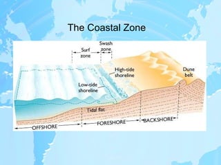 The Coastal Zone 