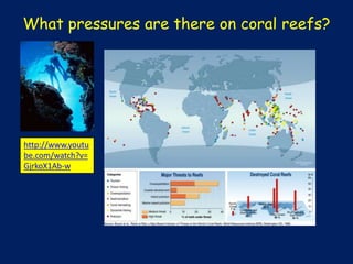 What pressures are there on coral reefs?

http://www.youtu
be.com/watch?v=
GjrkoX1Ab-w

 