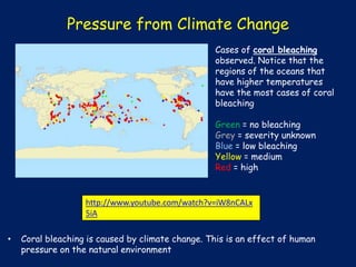 Pressure from Climate Change
Cases of coral bleaching
observed. Notice that the
regions of the oceans that
have higher temperatures
have the most cases of coral
bleaching
Green = no bleaching
Grey = severity unknown
Blue = low bleaching
Yellow = medium
Red = high

http://www.youtube.com/watch?v=iW8nCALx
5iA
•

Coral bleaching is caused by climate change. This is an effect of human
pressure on the natural environment

 