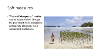 Soft measures
• Wetland/Mangrove Creation
can be accomplished through
the placement of fill material to
appropriate elevations with
subsequent plantations.
 