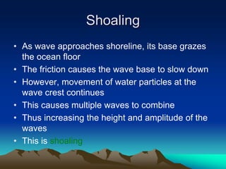 Sholing Area Coastal environment | PPTX
