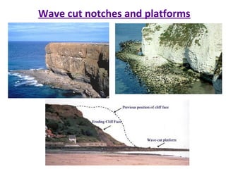 Wave Cut Notch Example Coastal erosion processes | PPT