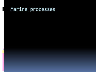 Marine processes