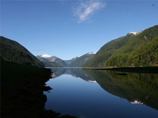Coastal First Nations: Great Bear Forest Carbon Project