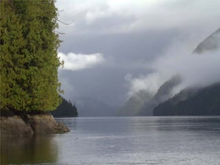 Coastal First Nations: Great Bear Forest Carbon Project