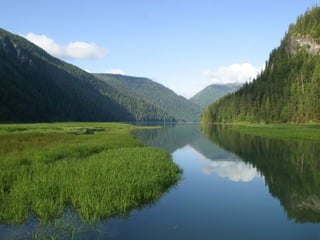 Coastal First Nations: Great Bear Forest Carbon Project