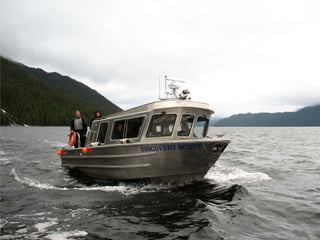 Coastal First Nations: Great Bear Forest Carbon Project