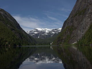 Coastal First Nations: Great Bear Forest Carbon Project