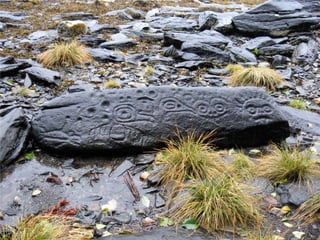 Coastal First Nations: Great Bear Forest Carbon Project