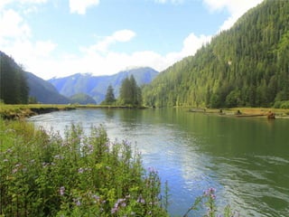 Coastal First Nations: Great Bear Forest Carbon Project