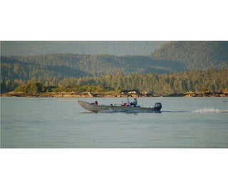 Coastal First Nations: Great Bear Forest Carbon Project