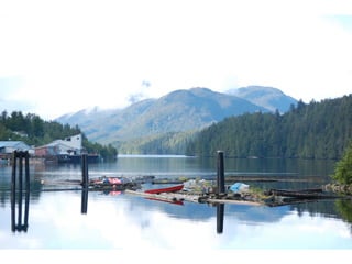Coastal First Nations: Great Bear Forest Carbon Project