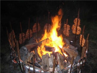 Coastal First Nations: Great Bear Forest Carbon Project