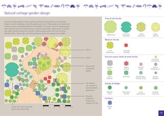 Natural cottage garden design
                                                                                                                       Trees & tall shrubs
A natural cottage garden is easy to achieve with local coastal plants as many species
flower in winter, providing a colourful garden year-round. These gardens are relaxed and
flowing, and are a wonderful place for local wildlife. To achieve a natural cottage garden,
mimic the flow and mix of plant species in natural coastal areas. Allow plants to cascade
over paths and lace through one another. Utilise weaving paths and rustic furniture.
Add bird-baths, hollow logs, and nesting boxes to attract and support local wildlife.                                  	 Mallee Box	         Common	           Sticky	          Silver
                                                                                                                       		                    Boobialla	       Hop-bush	        Banksia	

                                                                                                                       Medium Shrubs




                                                                                                    Bench
                                                                                                                       	 Coast	               Lavender
                                                                                                                       	 Daisy-bush	           Grevillia


                                                                                                    Mulch
                                                                                                                       Ground covers, herbs & small shrubs
                                                                                                                                                                              Common
                                                                                                                                                                             Everlasting

                                                                                                    White wash
                                                                                                                       	 Cushion	              Native	         Austral	         Native
                                                                                                    sustainable        	 Bush	                Fuchsia	         Trefoil	      Pelargonium
                                                                                                    pebble


                                                                                                                       	 Ruby	    Muntries	                 Woolly New-	        Native		
                                                                                                                       	 Saltbush		                         Holland Daisy	     Bluebell

                                                                                                    Flat sleepers      Grasses & sedges
                                                                                                    set in gravel to
                                                                                                    give boardwalk
                                                                                                    appearance
                                                                                                                       	 Wallaby	            Short-stem	       Coast	          Knobby
                                                                                                                       	 Grass	                Flax-lily	    Spear-grass	     Club-rush
                                                                                                    Recycled
                                                                                                    hardwood           Climbers
                                                                                                    timber post,
                                                                                                    upright 2m high

         Swale with 14mm quartzite                   0	     1	      2	     3	      4	         5	m                         Native
         gravel and habitat logs                                                                                           Lilac

                                                                                                                                                                                           19
 