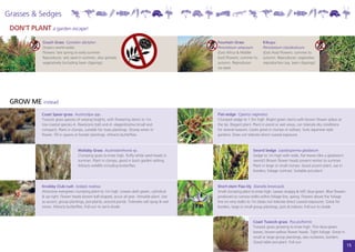 Grasses & Sedges
 DON’T PLANT a garden escape!
            Couch Grass Cynodon dactylon                                                       Fountain Grass               Kikuyu
            (tropics world-wide)                                                               Pennisteum setaceum          Pennisetum clandestinum
            Flowers: late spring to early summer                                               (East Africa & Middle        (East Asia) Flowers: summer to
            Reproduces: sets seed in summer, also spreads                                      East) Flowers: summer to     autumn. Reproduces: vegetative
            vegetatively (including lawn clippings)                                            autumn. Reproduces:          reproduction (eg. lawn clippings)
                                                                                               via seed.




 GROW ME instead
            Coast Spear-grass Austrostipa spp.                                                 Flat-sedge Cyperus vaginatus
            Tussock grass species of varying heights, with flowering stems to 1m.              Clumped sedge to 1.5m high. Bright green stems with brown flower spikes at
            Use coastal species A. flavescens (tall) and A. elagantissima (small and           the tip. Elegant plant. Plant in pond or wet areas, can tolerate dry conditions
            compact). Plant in clumps, suitable for mass plantings. Showy when in              for several seasons. Looks great in clumps or solitary. Suits Japanese style
            flower. Fill in spaces or border plantings. Attracts butterflies.                  gardens. Does not tolerate direct coastal exposure.



                                   Wallaby Grass Austrodanthonia sp.                                                  Sword Sedge Lepidosperma gladiatum
                                   Clumping grass to knee high, fluffy white seed heads in                            Sedge to 1m high with wide, flat leaves (like a gladiator’s
                                   summer. Plant in clumps, good in bush garden setting.                              sword!) Brown flower heads present winter to summer.
                                   Attracts wildlife including butterflies.                                           Plant in large or small clumps. Good accent plant, use in
                                                                                                                      borders, foliage contrast. Suitable pot-plant.



            Knobby Club-rush Isolepis nodosa                                                   Short-stem Flax-lily Dianella brevicaulis
            Attractive evergreen clumping plant to 1m high. Leaves dark-green, cylindical      Small clumping plant to knee high. Leaves strappy & stiff, blue-green. Blue flowers
            & up-right. Flower heads brown ball-shaped, occur all year. Versatile plant. Use   produced on narrow stalks within foliage line, spring. Flowers above the foliage
            as accent, group plantings, pot-plants, around ponds. Tolerates salt spray & wet   line on wiry stalks to 1m (does not tolerate direct coastal exposure). Great for
            zones. Attracts butterflies. Full-sun to semi-shade.                               borders, large or small group plantings, pots & indoors. Full-sun to shade.


                                                                                                                      Coast Tussock-grass Poa poiformis
                                                                                                                      Tussock grass growing to knee high. Thin blue-green
                                                                                                                      leaves, brown-yellow flower heads. Tight foliage. Great in
                                                                                                                      small or large group plantings, also rockeries, borders.
                                                                                                                      Good table pot-plant. Full-sun.
                                                                                                                                                                                     15
 