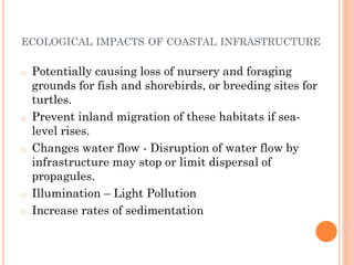 oPotentially causing loss of nursery and foraging grounds for fish and shorebirds, or breeding sites for turtles. 
oPrevent inland migration of these habitats if sea- level rises. 
oChanges water flow -Disruption of water flow by infrastructure may stop or limit dispersal of propagules. 
oIllumination –Light Pollution 
oIncrease rates of sedimentation 
ECOLOGICALIMPACTSOFCOASTALINFRASTRUCTURE  