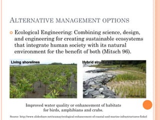 Ecological Engineering: Combining science, design, and engineering for creating sustainable ecosystems that integrate human society with its natural environment for the benefit of both (Mitsch96). 
ALTERNATIVEMANAGEMENTOPTIONS 
Source: http://www.slideshare.net/scamay/ecological-enhancement-of-coastal-and-marine-infrastructures-finkel 
Improved water quality or enhancement of habitats for birds, amphibians and crabs.  