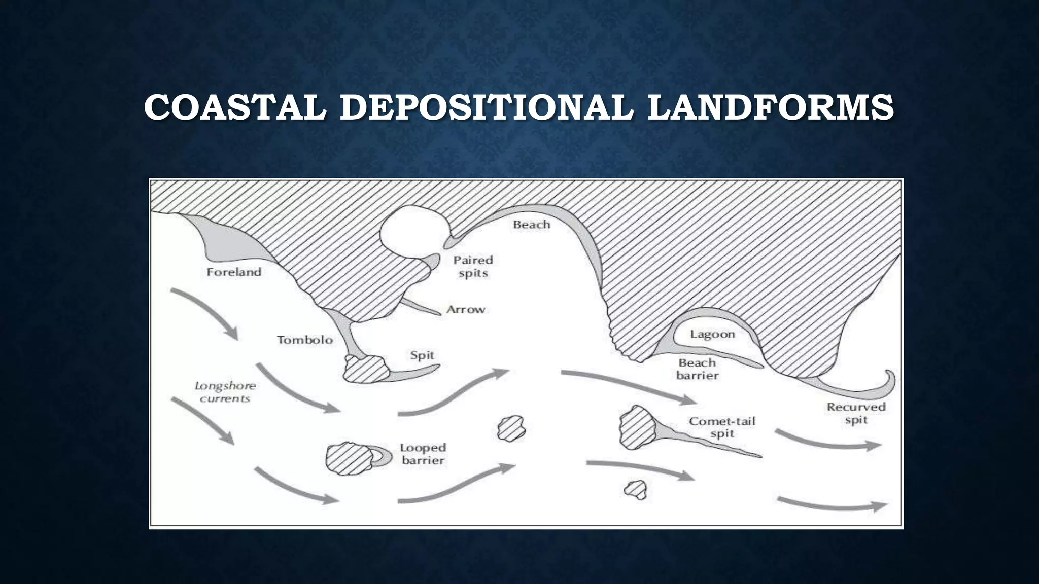 COASTAL DEPOSITIONAL LANDFORMS
 