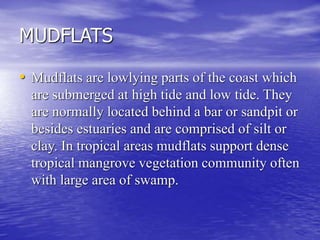 MUDFLATS
• Mudflats are lowlying parts of the coast which
are submerged at high tide and low tide. They
are normally located behind a bar or sandpit or
besides estuaries and are comprised of silt or
clay. In tropical areas mudflats support dense
tropical mangrove vegetation community often
with large area of swamp.
 