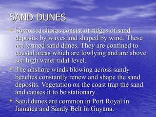 SAND DUNES
• Some sea shores consist of ridges of sand
deposits by waves and shaped by wind. These
are termed sand dunes. They are confined to
coastal areas which are lowlying and are above
sea high water tidal level.
• The onshore winds blowing across sandy
beaches constantly renew and shape the sand
deposits. Vegetation on the coast trap the sand
and causes it to be stationary .
• Sand dunes are common in Port Royal in
Jamaica and Sandy Belt in Guyana.
 