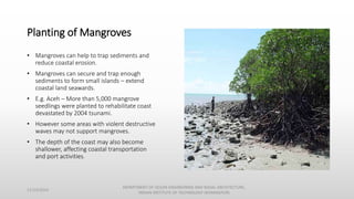 Planting of Mangroves
• Mangroves can help to trap sediments and
reduce coastal erosion.
• Mangroves can secure and trap enough
sediments to form small islands – extend
coastal land seawards.
• E.g. Aceh – More than 5,000 mangrove
seedlings were planted to rehabilitate coast
devastated by 2004 tsunami.
• However some areas with violent destructive
waves may not support mangroves.
• The depth of the coast may also become
shallower, affecting coastal transportation
and port activities.
11/14/2014
DEPARTMENT OF OCEAN ENGINEERING AND NAVAL ARCHITECTURE,
INDIAN INSTITUTE OF TECHNOLOGY (KHARAGPUR)
 
