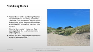 Stabilising Dunes
• Coastal dunes can be found along the shore
where lots of sand and strong winds exist.
The winds carry and deposit the land on the
coast further inland, forming coastal dunes
gradually which help defend the coast from
the sea.
• However they are very fragile and thus
access points to the beach are controlled
and designated.
• Shrubs and trees are planted to stabilise the
dunes to anchor the sand.
11/14/2014
DEPARTMENT OF OCEAN ENGINEERING AND NAVAL ARCHITECTURE,
INDIAN INSTITUTE OF TECHNOLOGY (KHARAGPUR)
 