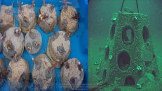 11/14/2014
DEPARTMENT OF OCEAN ENGINEERING AND NAVAL
ARCHITECTURE, INDIAN INSTITUTE OF TECHNOLOGY
(KHARAGPUR)
 