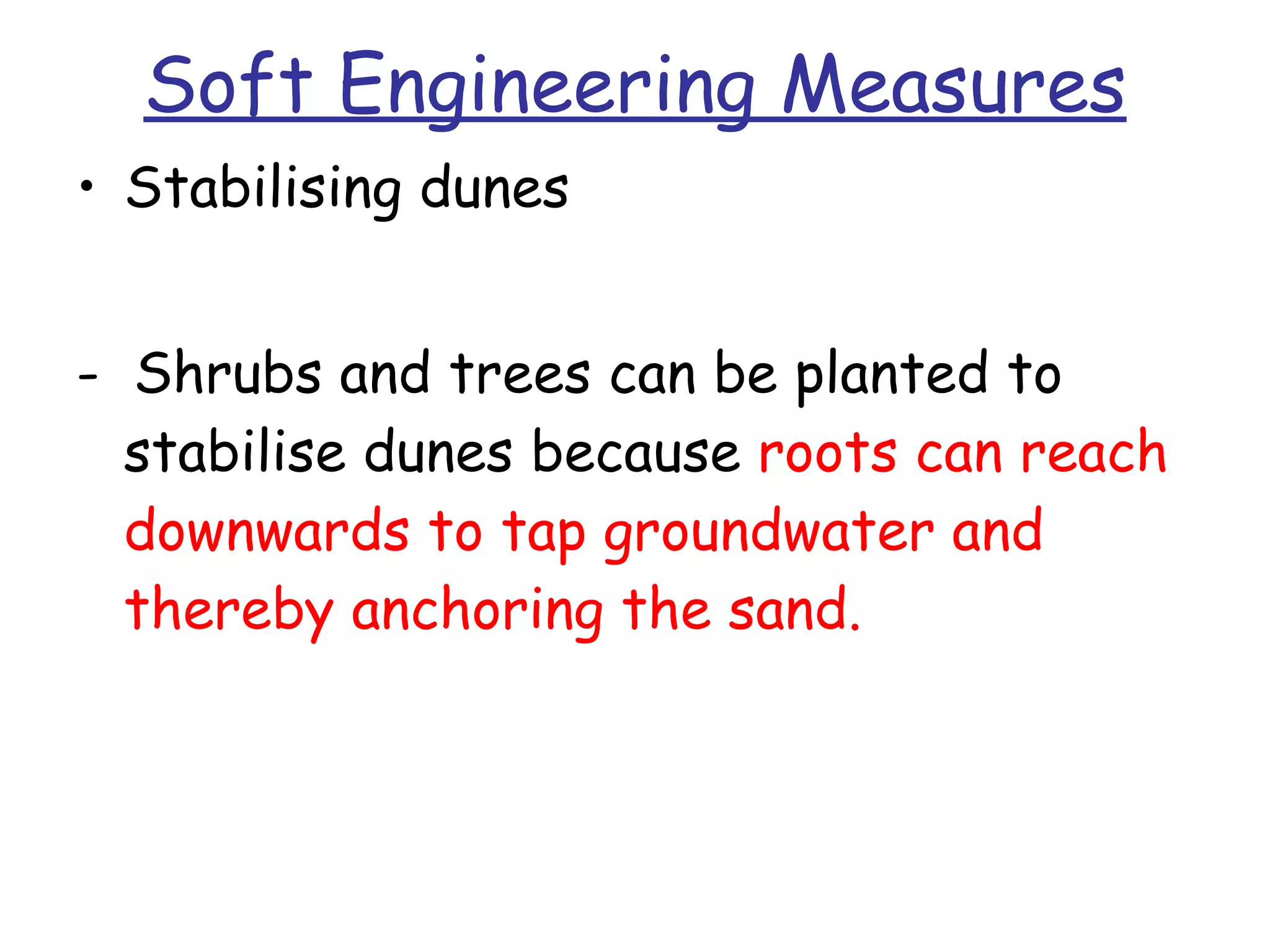 Soft Engineering Measures Stabilising dunes -  Shrubs and trees can be planted to stabilise dunes because  roots can reach downwards to tap groundwater and thereby anchoring the sand. 